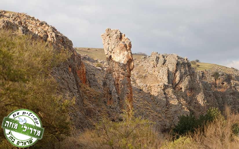 טיול משפחתי בנחל עמוד